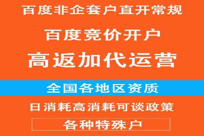竞价广告的转化率提升策略——案例分享